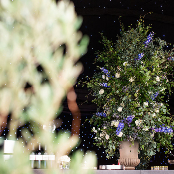 Luxury Wedding Marquee