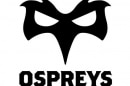 Ospreys